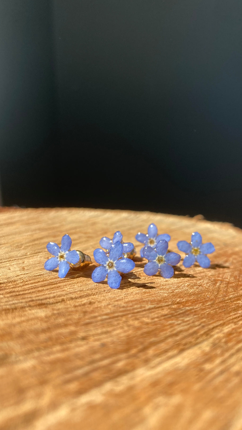 MYOSOTIS