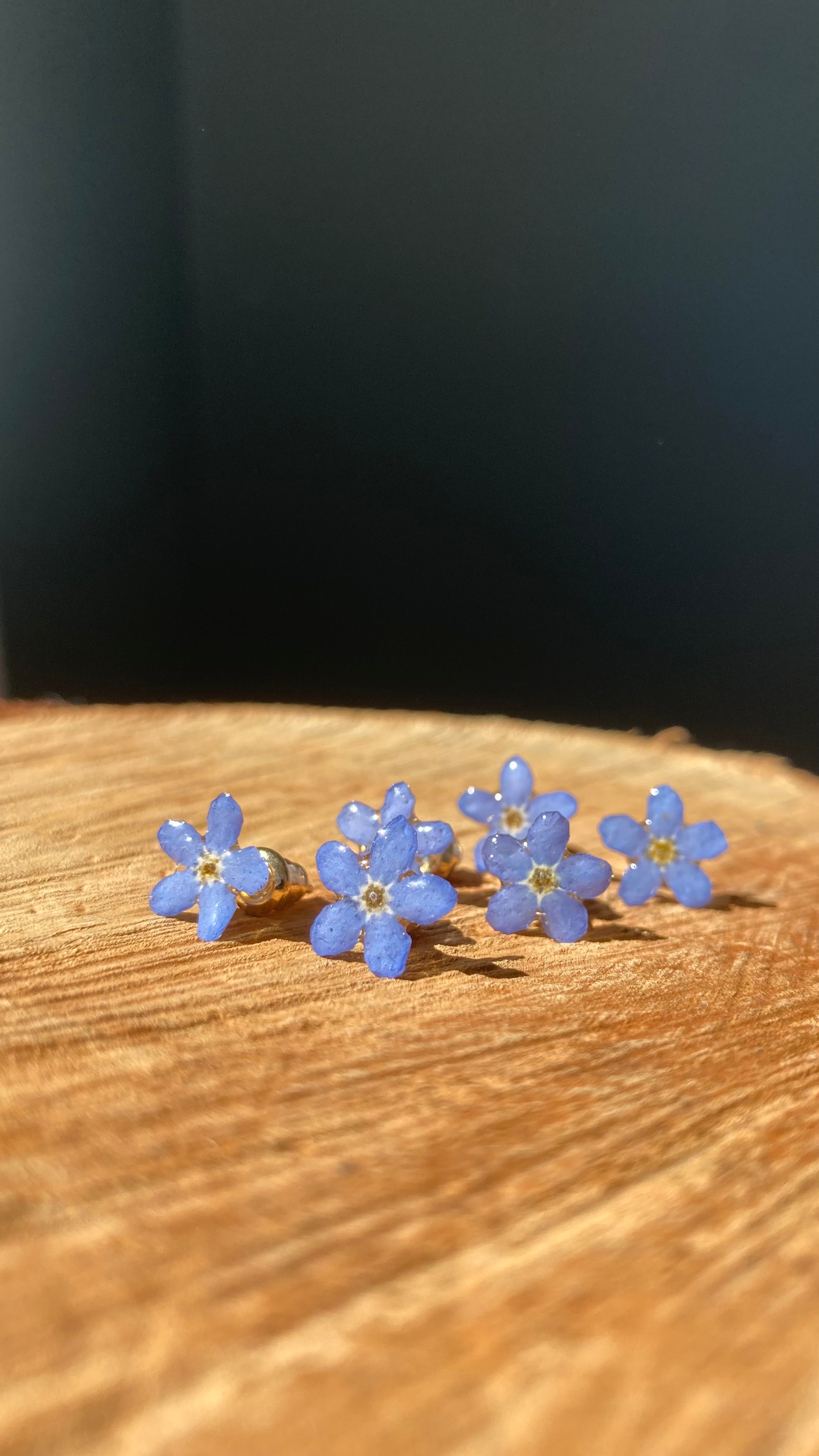 MYOSOTIS