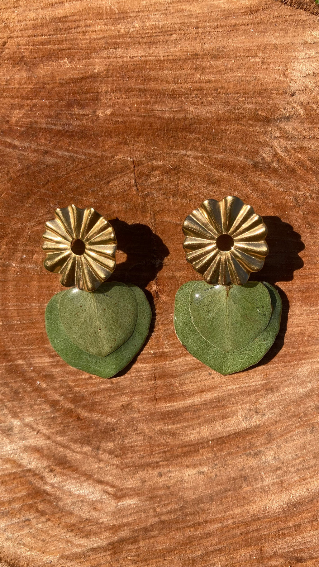 OLIVE