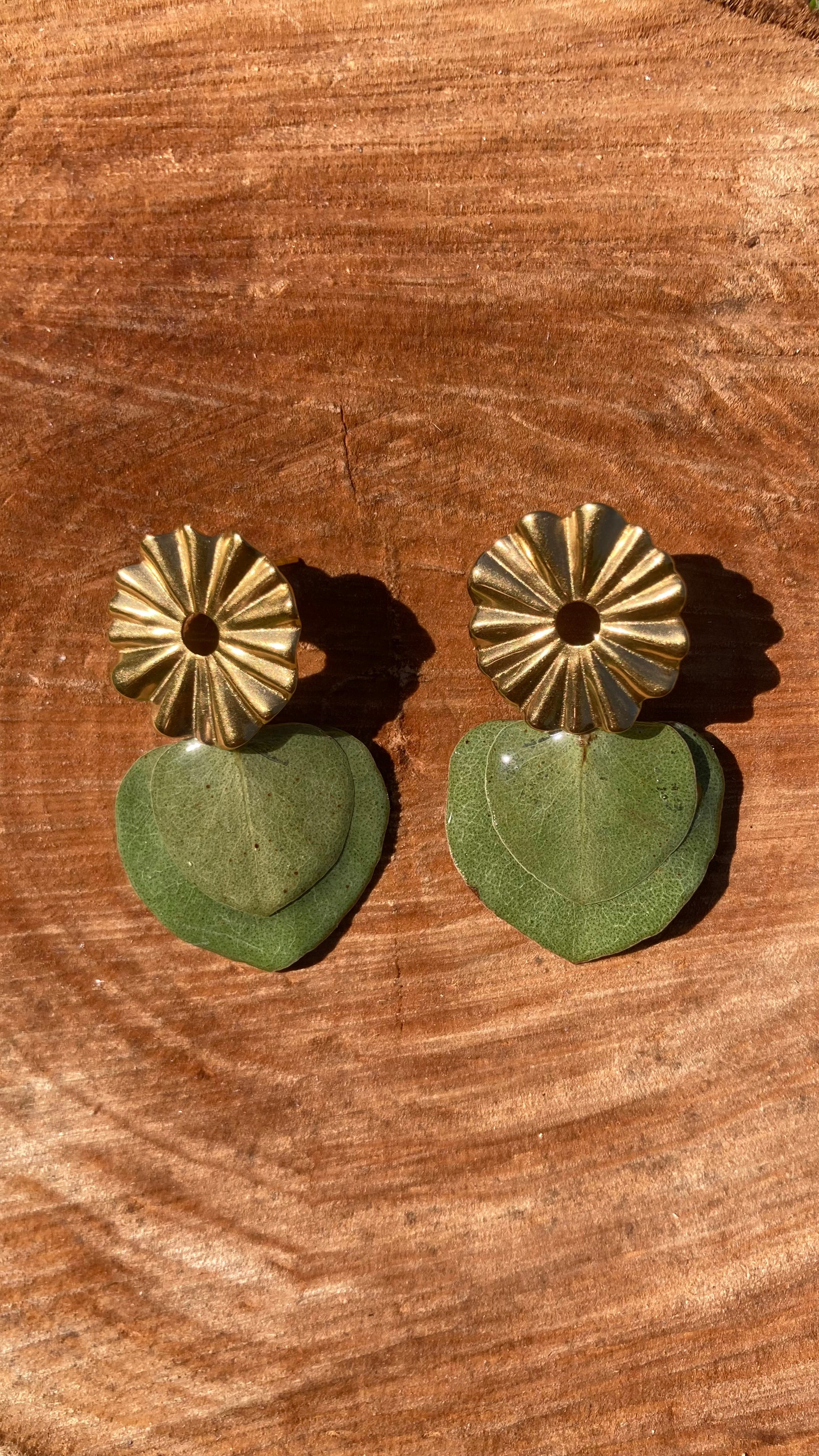 OLIVE