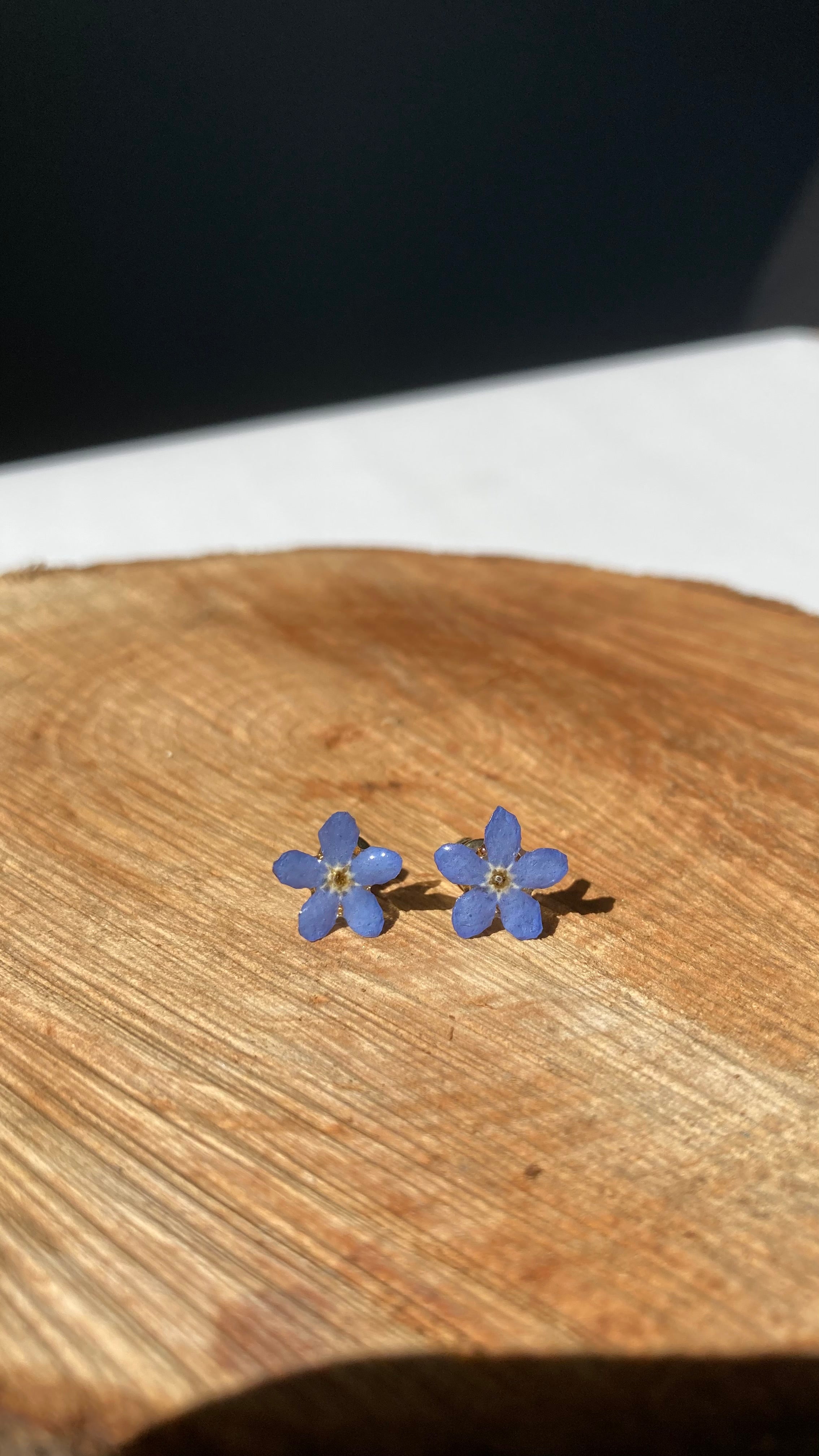 MYOSOTIS