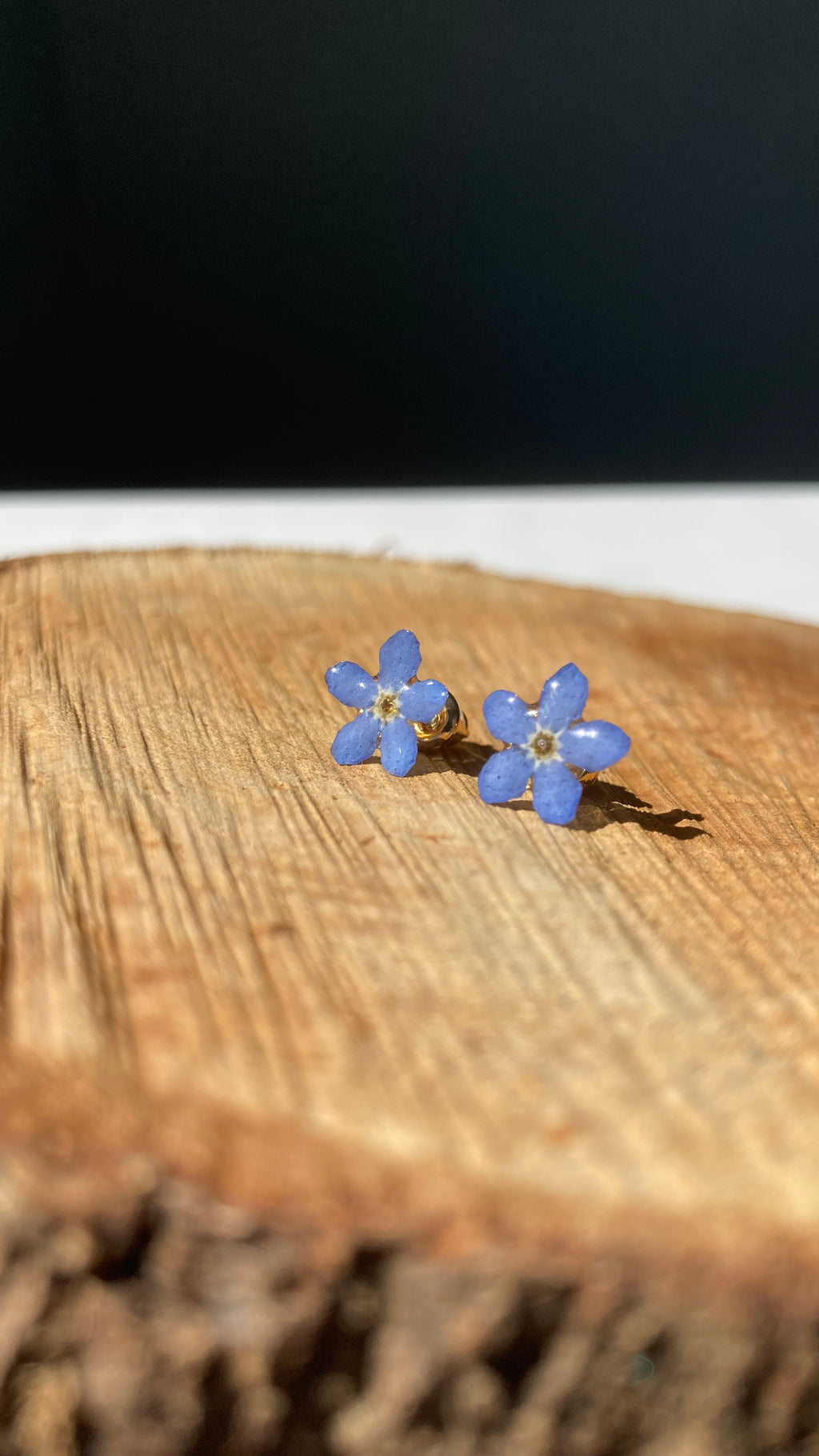 MYOSOTIS