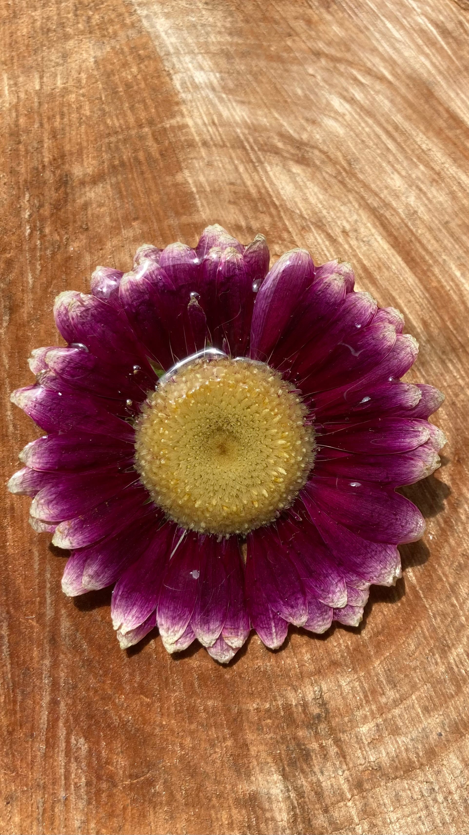 BROCHES
