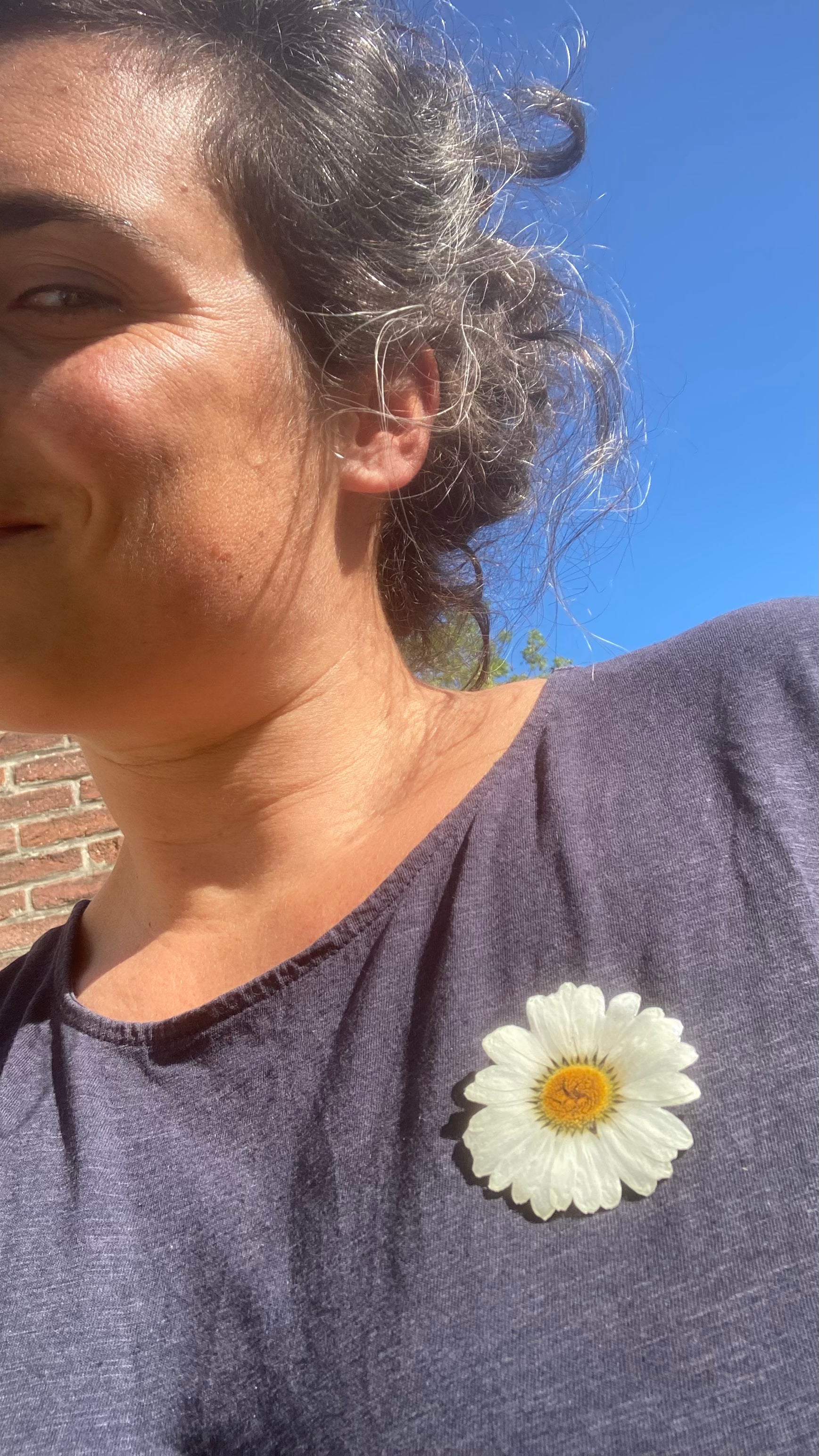 BROCHE MARGUERITE