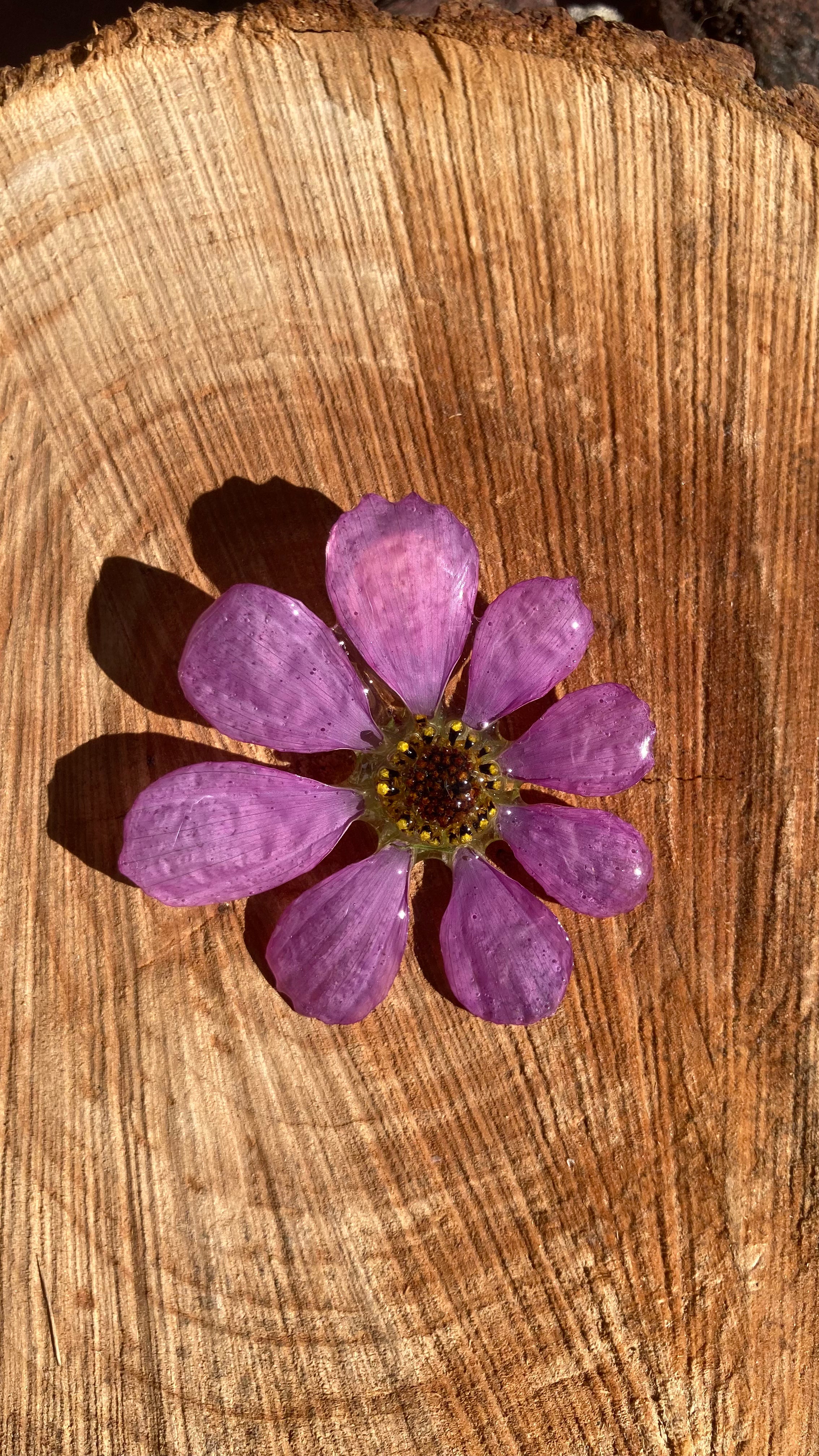 PIN’S COSMOS