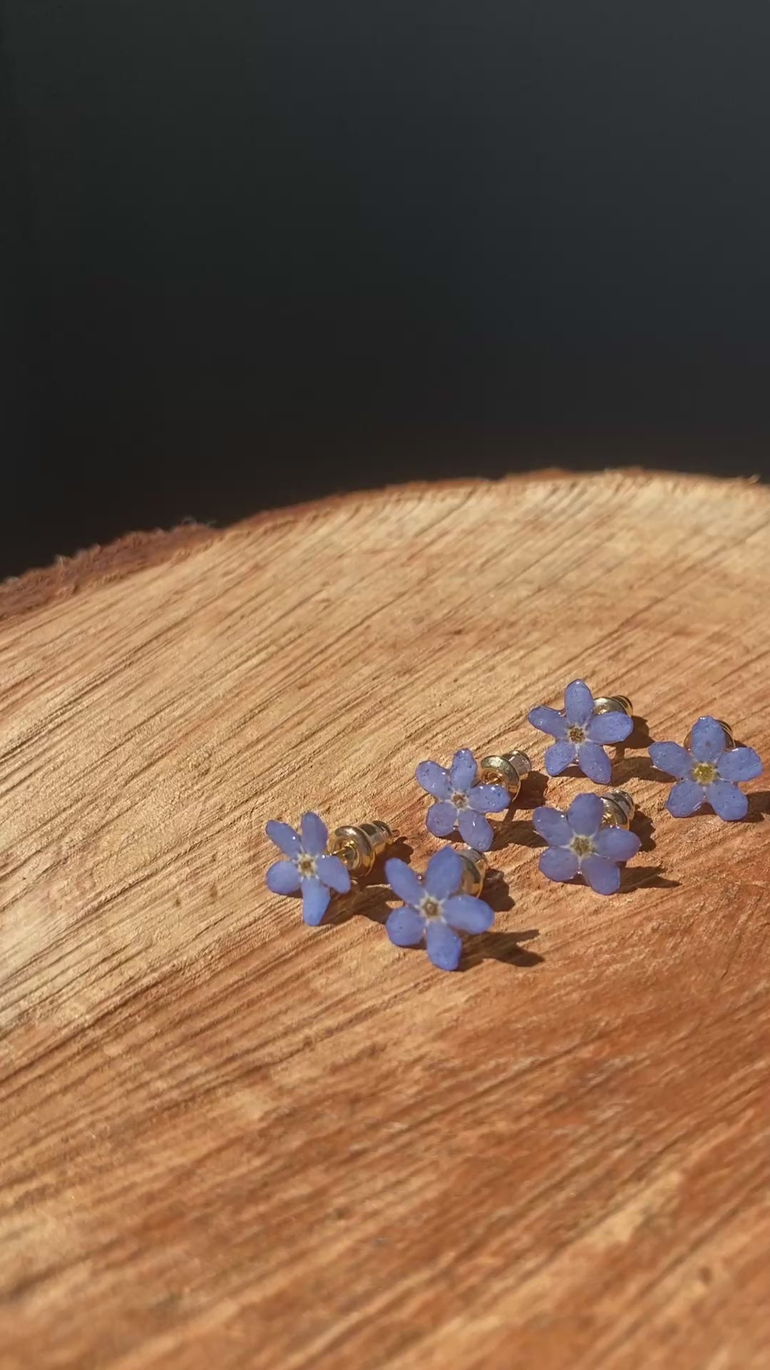 MYOSOTIS
